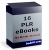 Thumbnail 16 PLR Reports Package