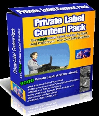 Product picture #WOW# 9000 PLR Articles