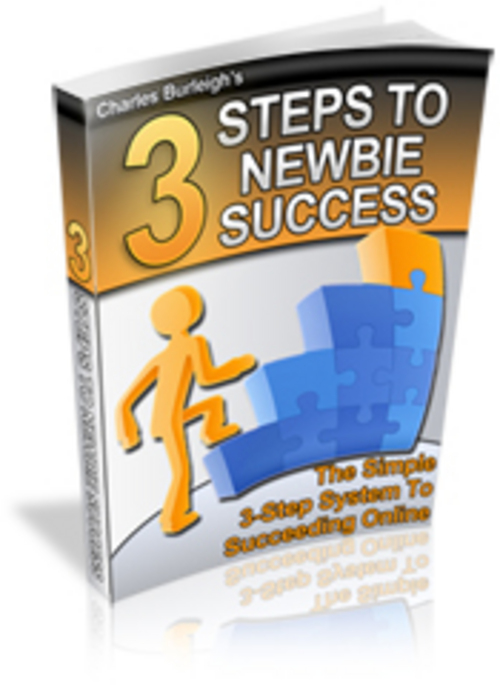 Product picture **NEWBIE** 3 Steps To Success (PLR)