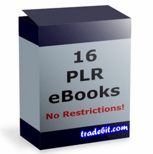 Product picture 16 PLR Reports Package