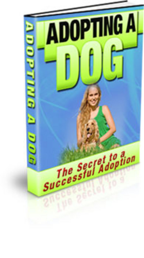 Product picture *HOT* Adopt a Dog PLR Ebook
